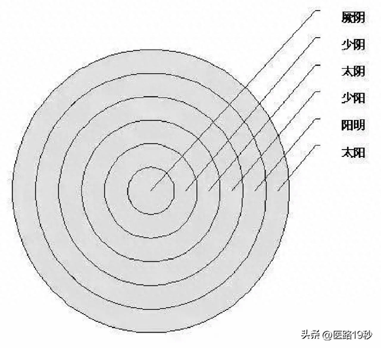 图解张仲景伤寒六经辨证要点