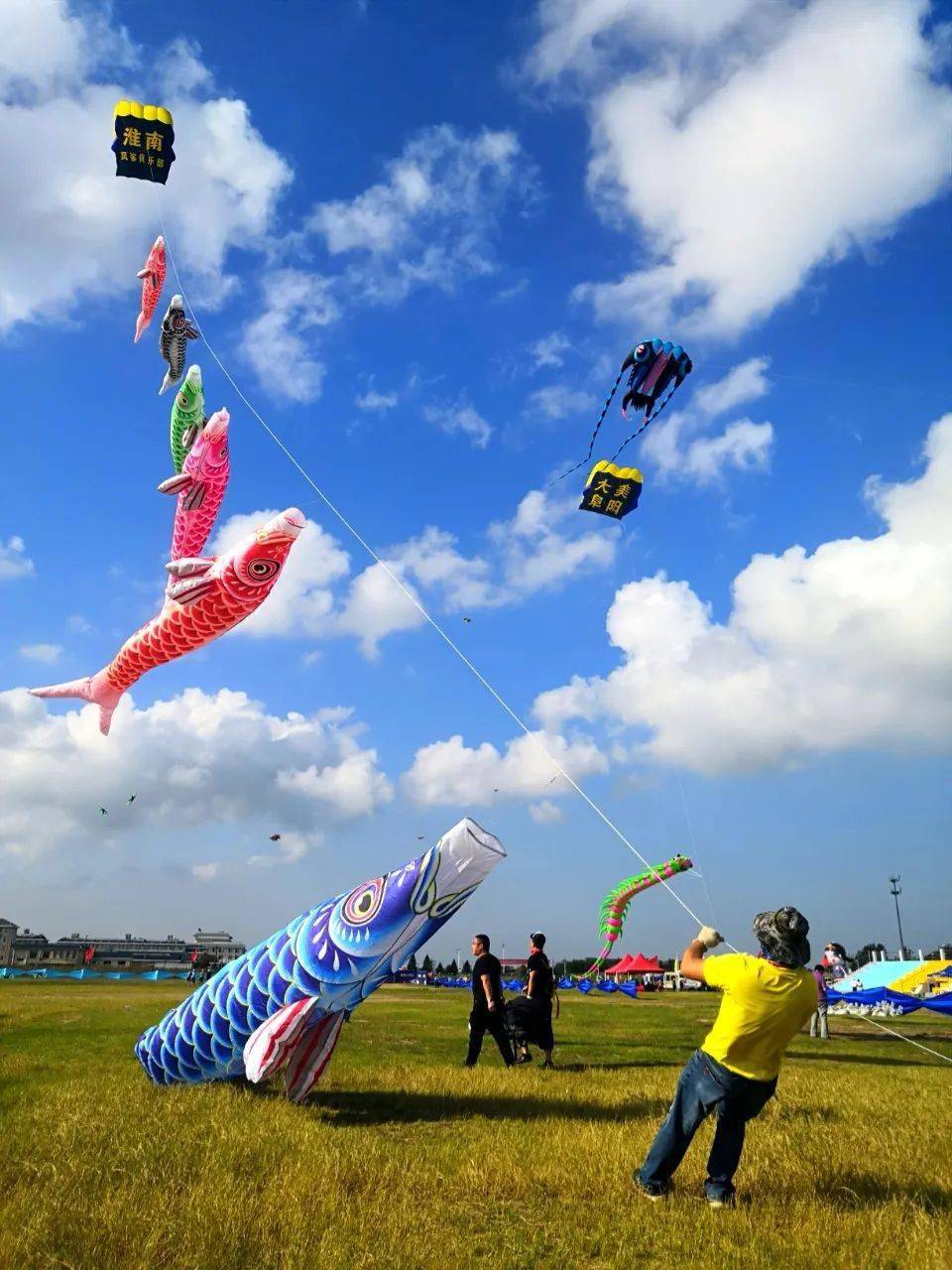 如东是中国风筝之乡特有的哨口板鹞风筝是中国四大风筝门派之一享有"