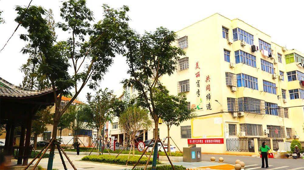 【每周一景】城关镇肖李社区_蔡兴望_云梦县_书林