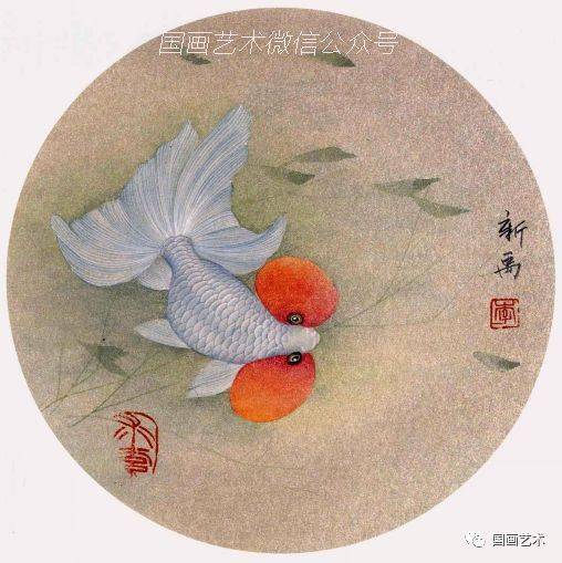 图文教程丨金鱼工笔画法_步骤_白粉_鱼鳞