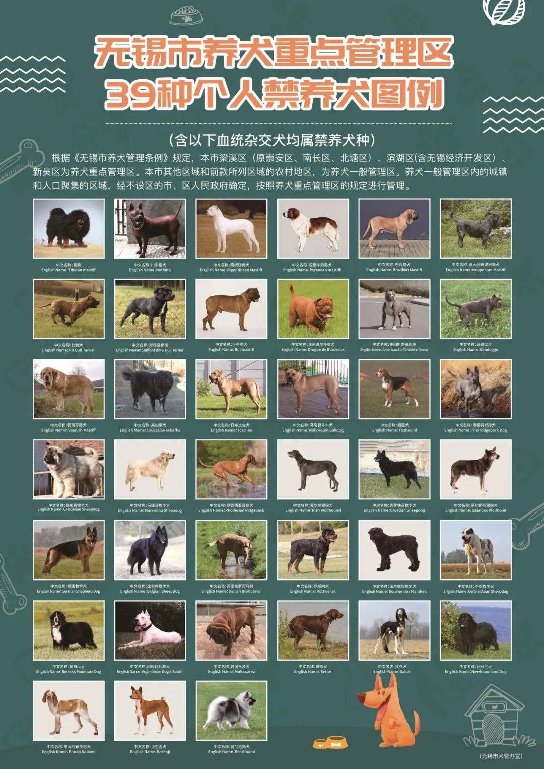 江阴禁养这39种烈性犬！_无锡市_威纳_规定