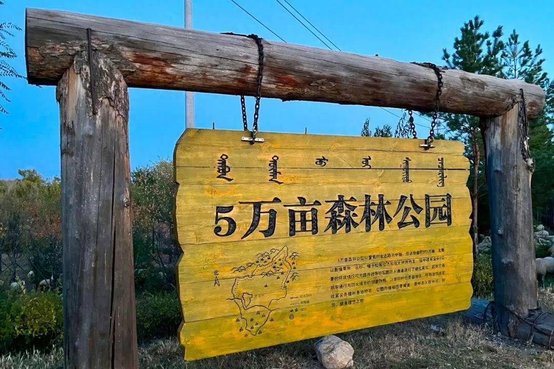 晚秋送爽 打卡雅玛图森林公园_步道_新城_城市