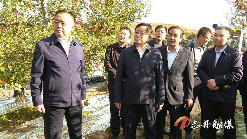 李炜调研指导纸坊 顺宁苹果产业发展_销售_工作_中心