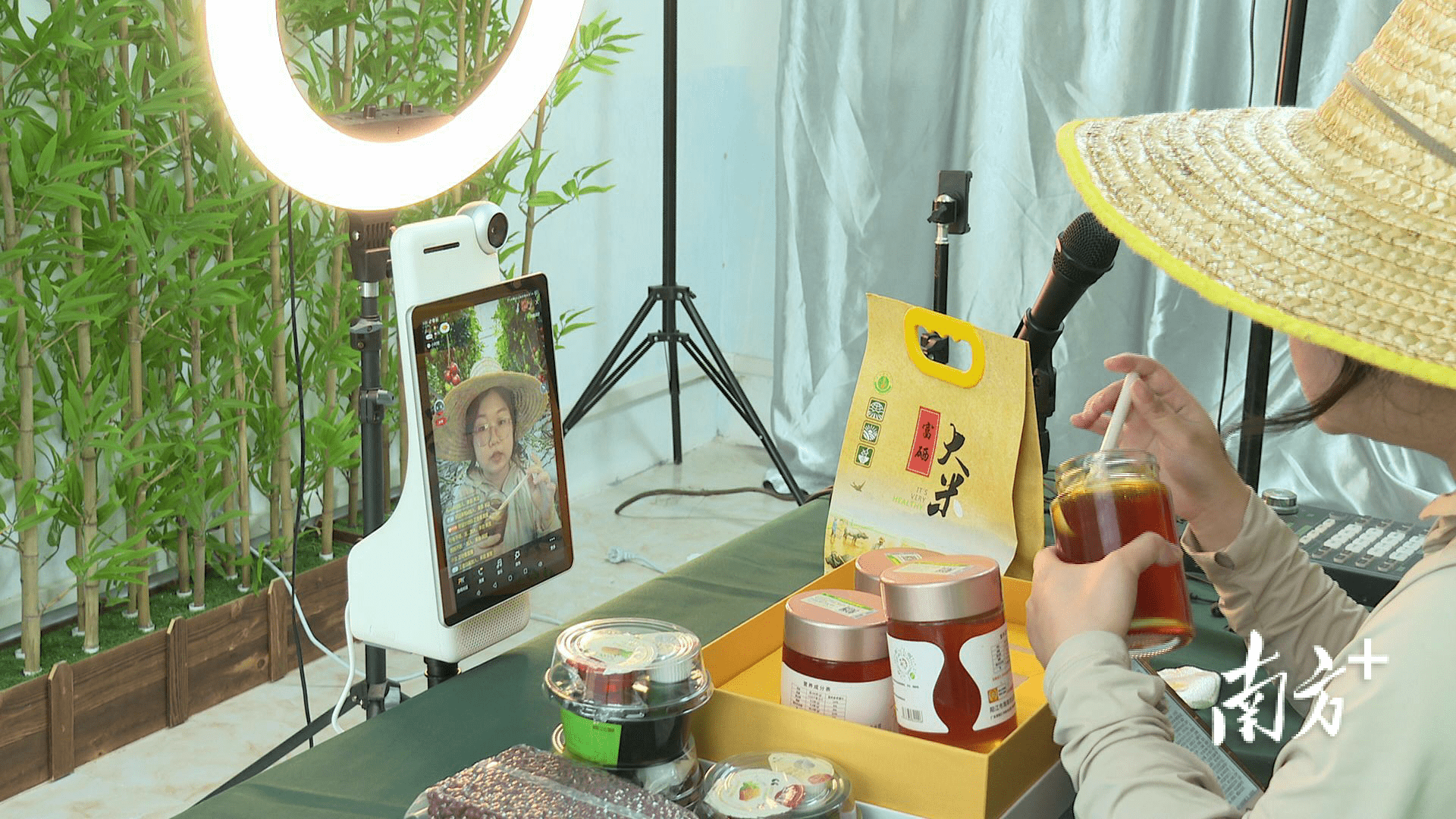 手机成了新农具，直播变成新农活！“阳西味道”插上电商“翅膀”_农产品_销售_荔枝