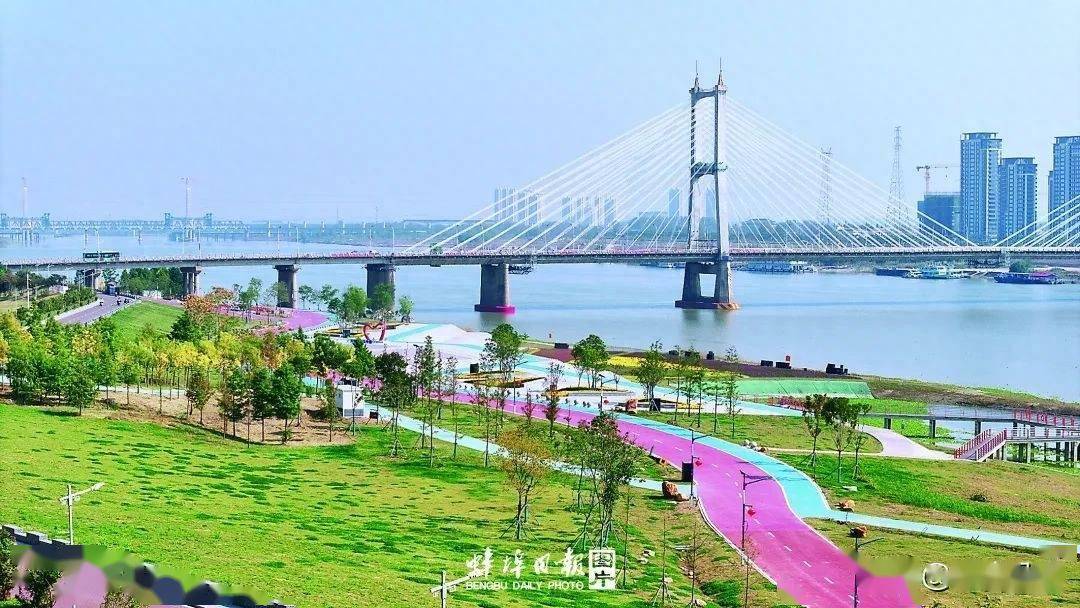 淮河_蚌埠_生态