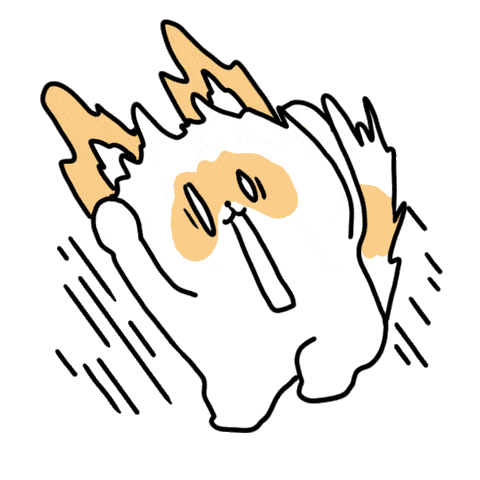 猫咪动态表情包