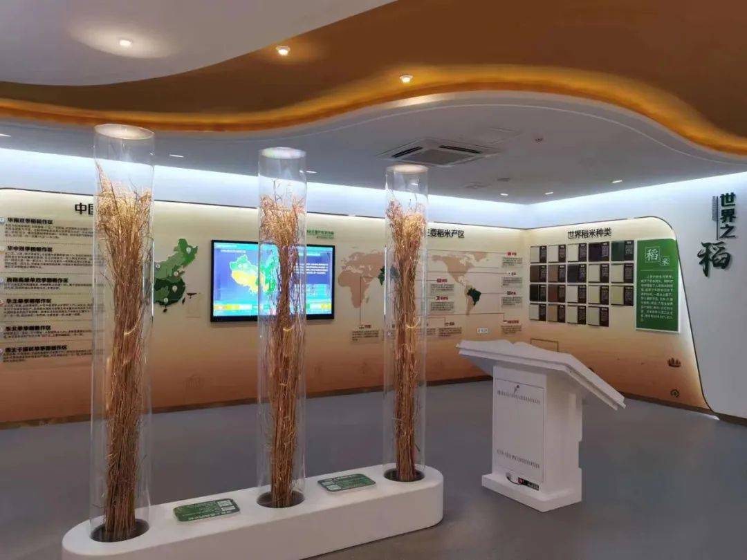 宁夏稻米博物馆,2021年由宁夏兴唐米业集团有限公司投资新建,位于灵武