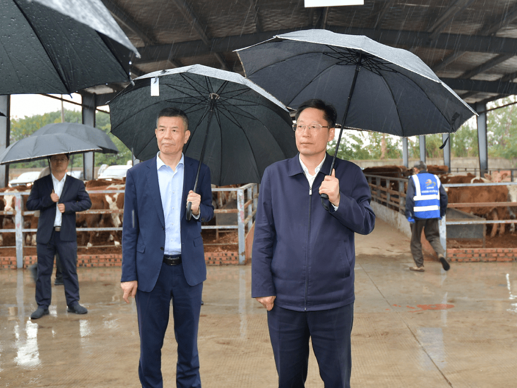 刘玉杰:大力实施绿色食品产业"双千亿"计划和肉牛振兴计划 加快建设高