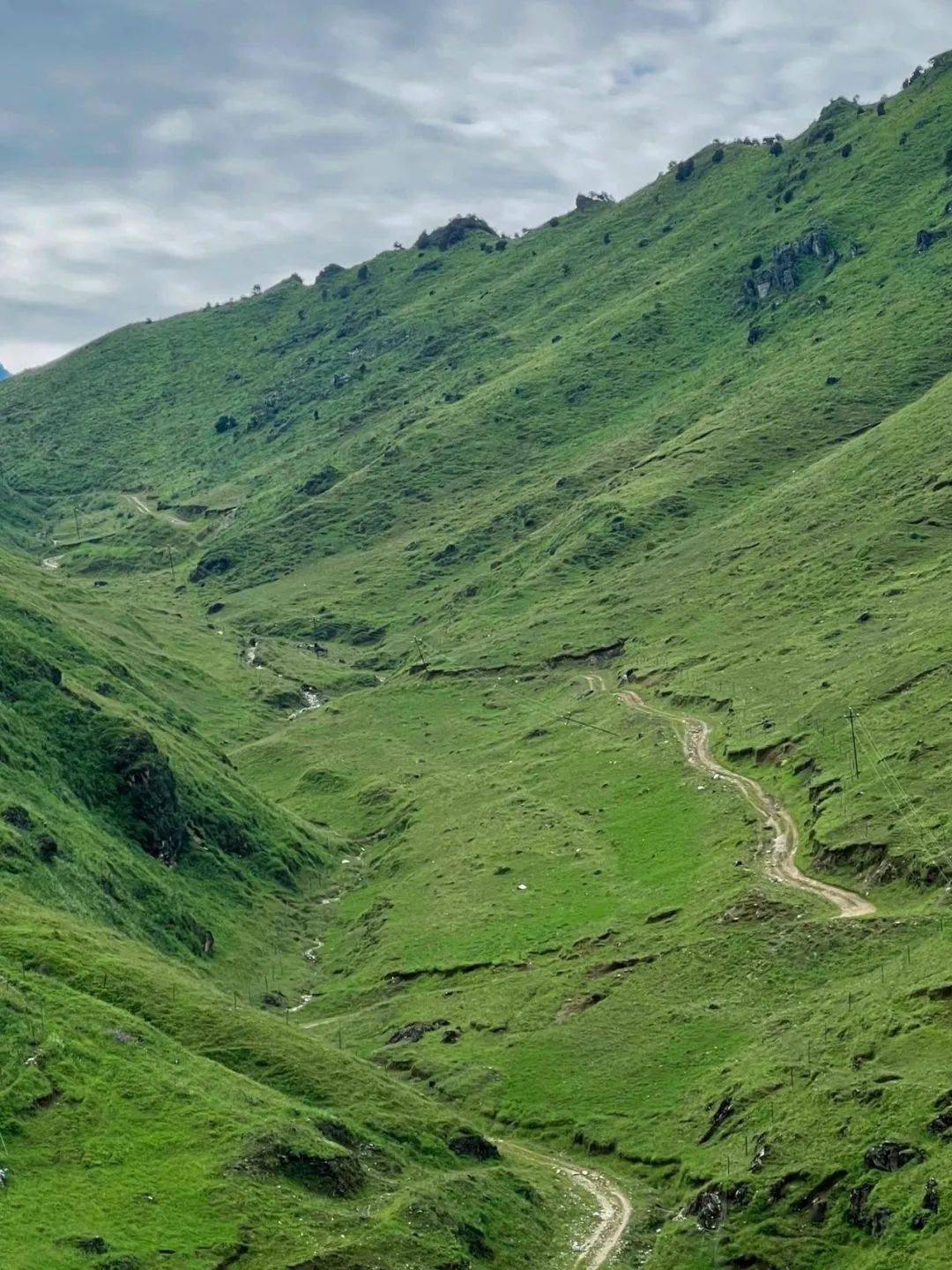 大片的高山草甸笔直的山峰峭壁形态各异的高山湖泊争奇斗艳的小花