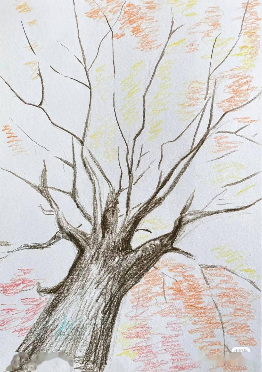 橘红,和各种红色系的彩铅,在树枝间涂抹出整体色调,用笔随意些,画圈