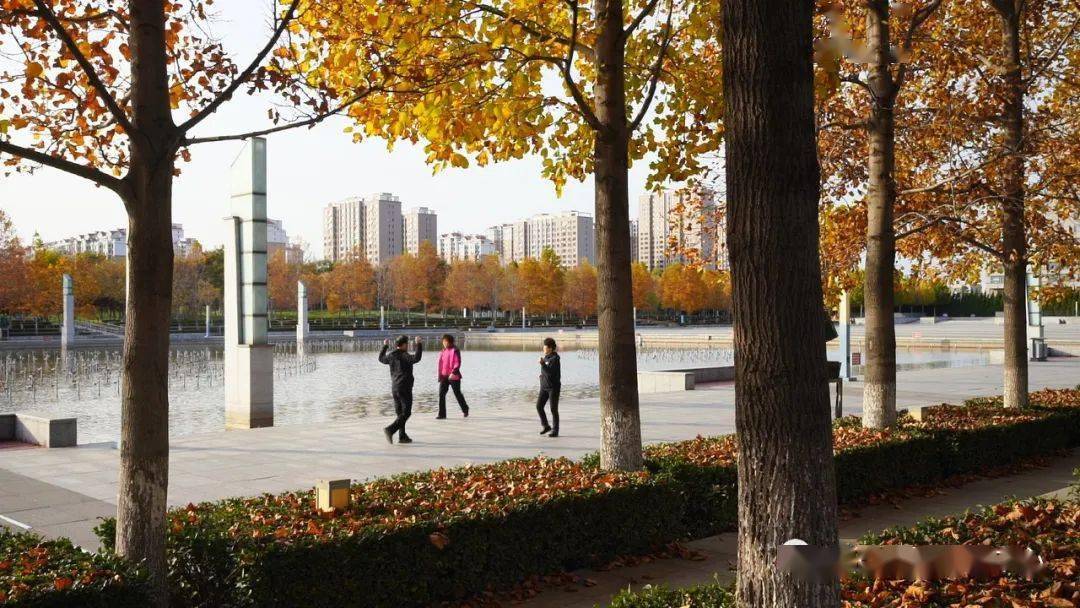 龙口已进入…_天气_看点_人民公园