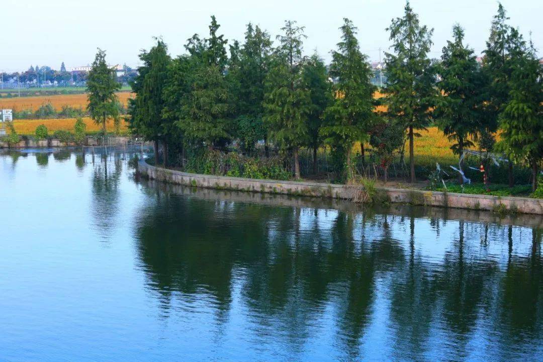 【图说·绍兴】东鉴湖风光掠影_清素_显得_摄影