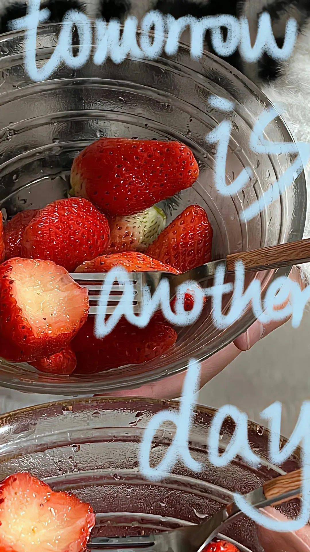 壁纸| ins高级质感高清全面屏