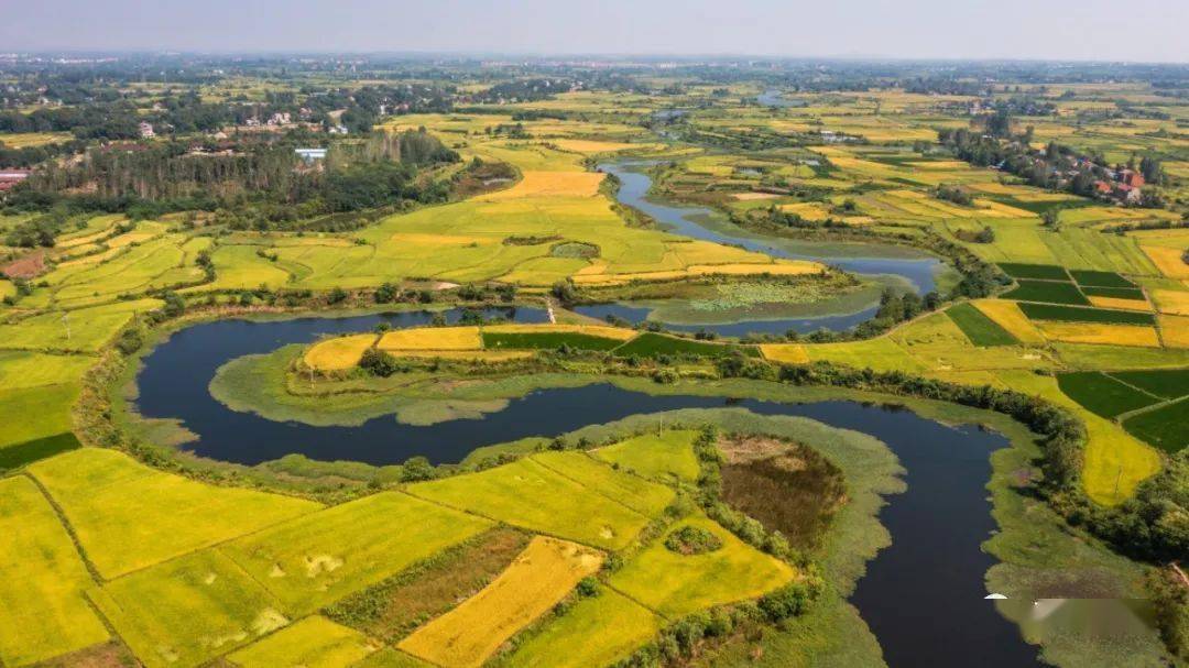 在安陆,一根秸秆能"七十二变"_草绳_稻草人_雷公镇
