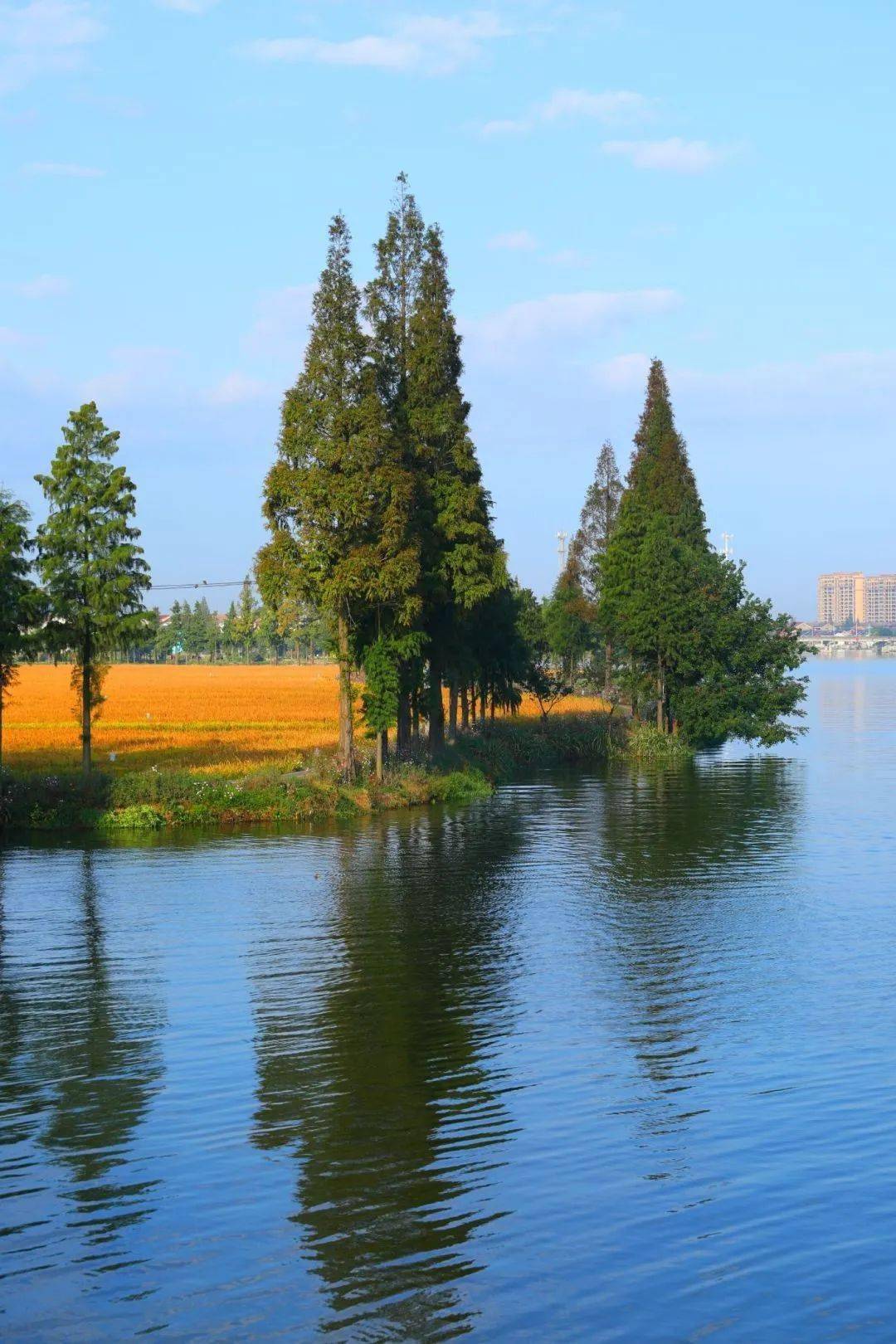 【图说·绍兴】东鉴湖风光掠影_清素_显得_摄影