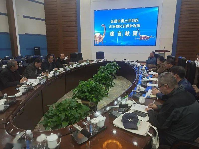 化石研讨会暨科普宣传活动",金昌市政府副市长赵正红出席活动并讲话