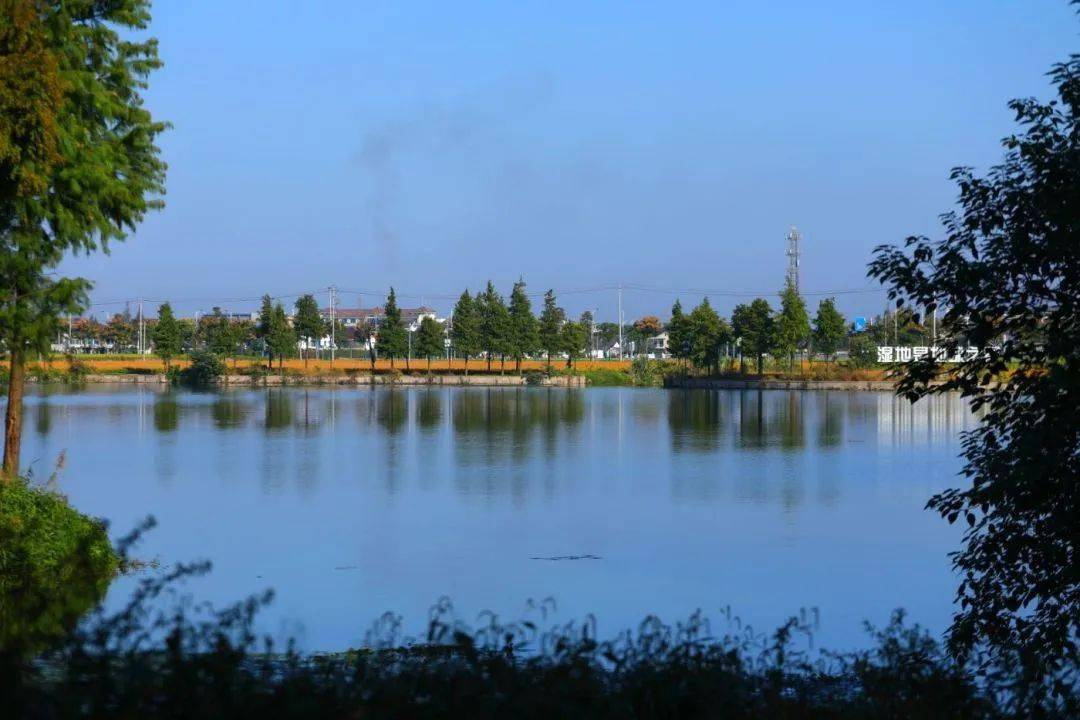 【图说·绍兴】东鉴湖风光掠影_清素_显得_摄影