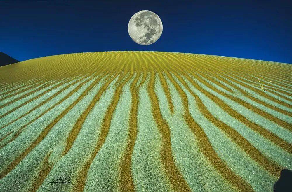 本周课程安排_摄影_海淀区_五棵松