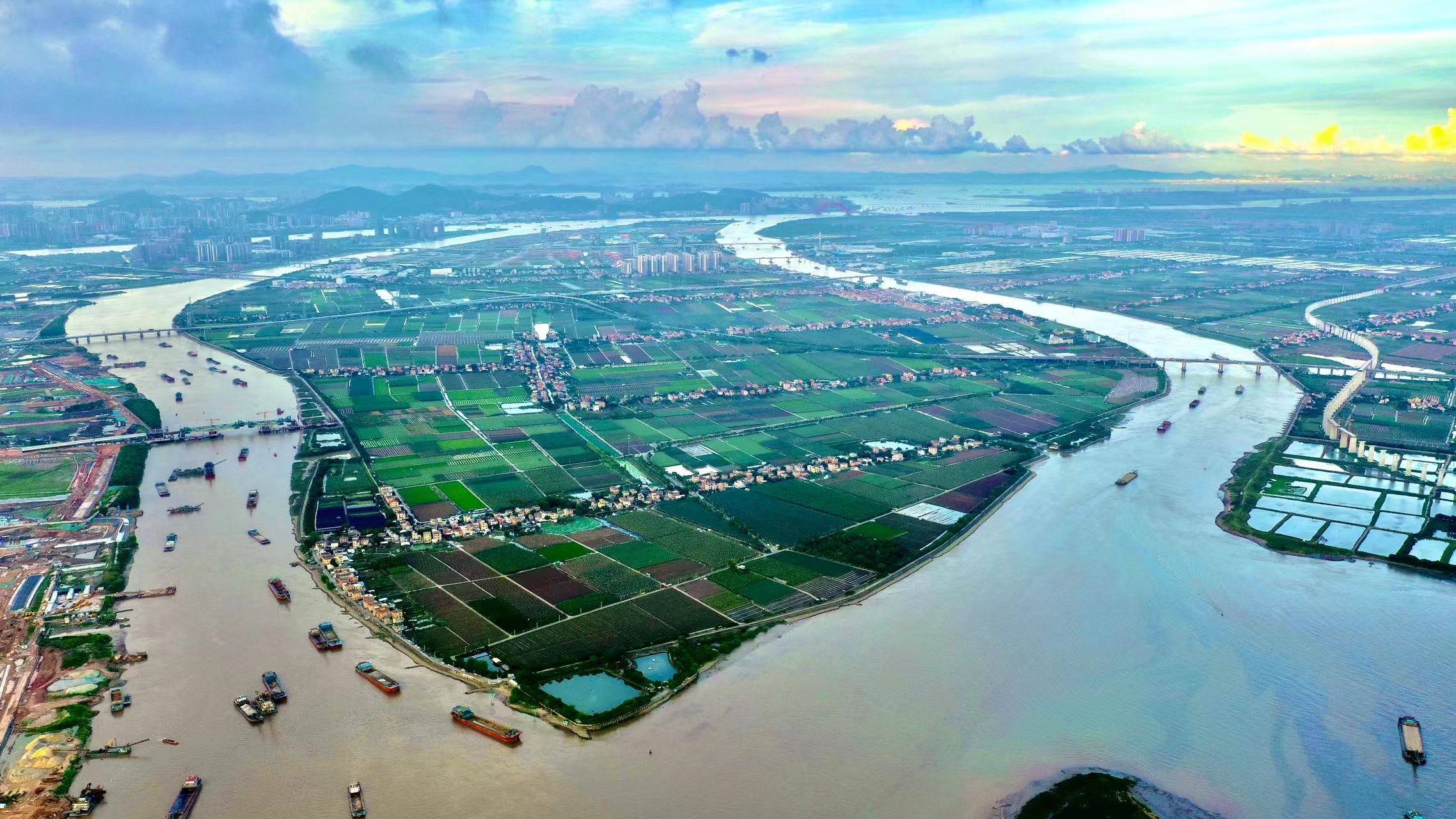 南沙横沥镇,为湾区之心"添味"_食品_加工业_园区