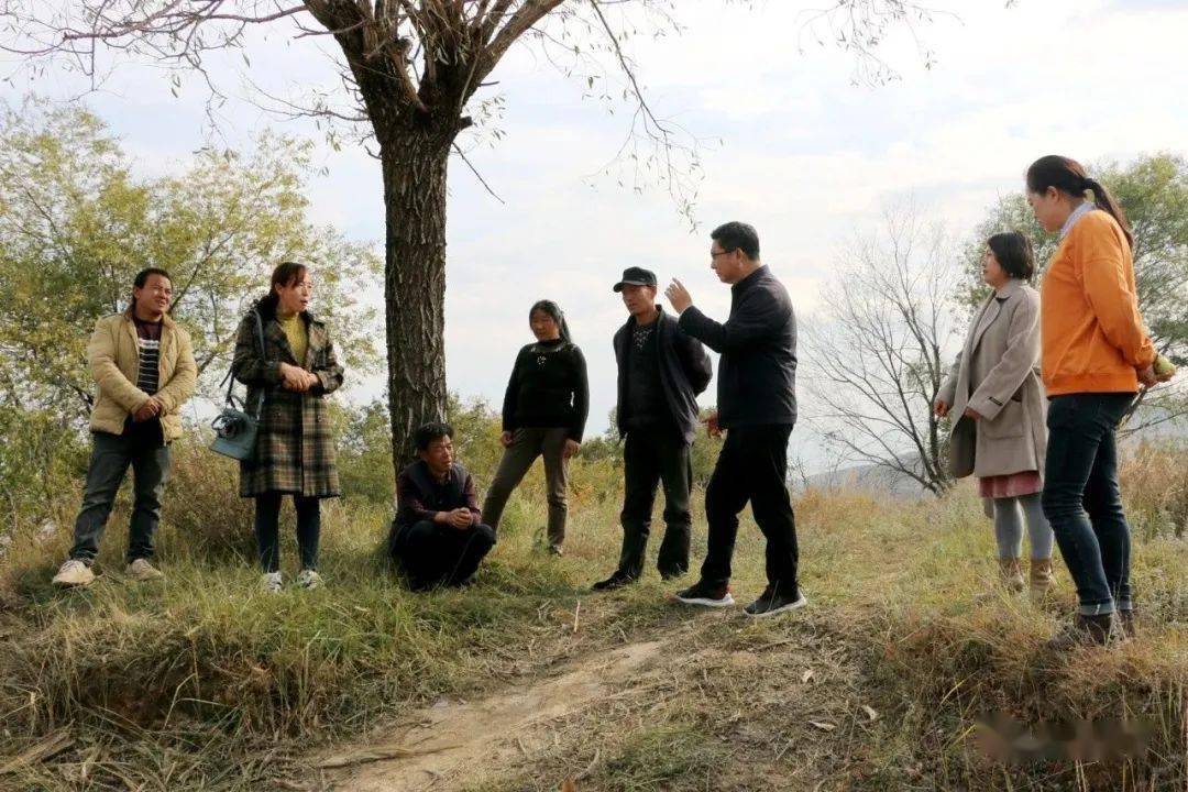 基层人大代表的花田"花"事——临洮县衙下集镇县镇人大代表,联合村党