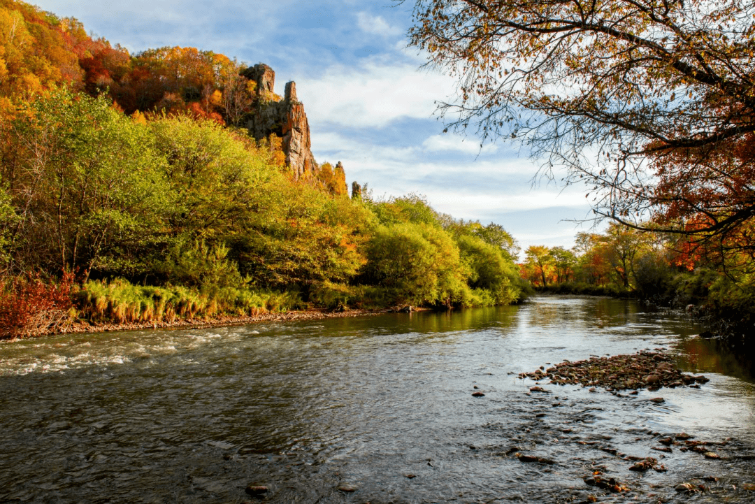 咏秋——汤旺县文联诗词作品展(二)_七律_层林_郑坤
