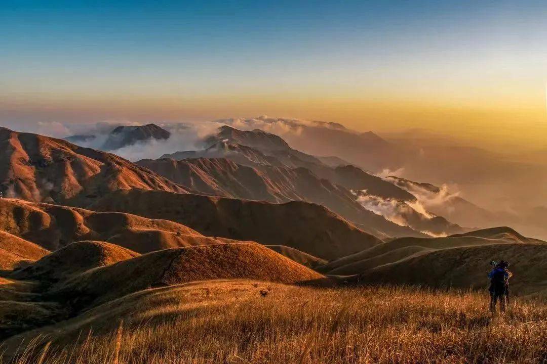 武功山正式换上金色皮肤!_草甸_天空_云海