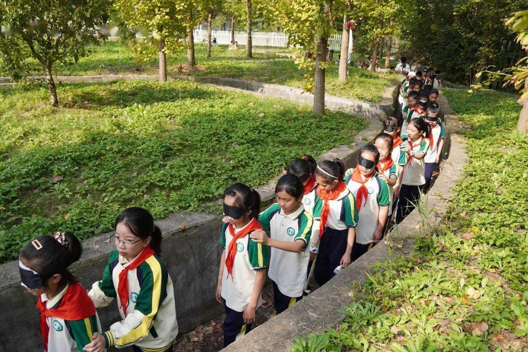 劳动励心志 实践促成长——海安市高新区海光小学开展劳动教育与综合