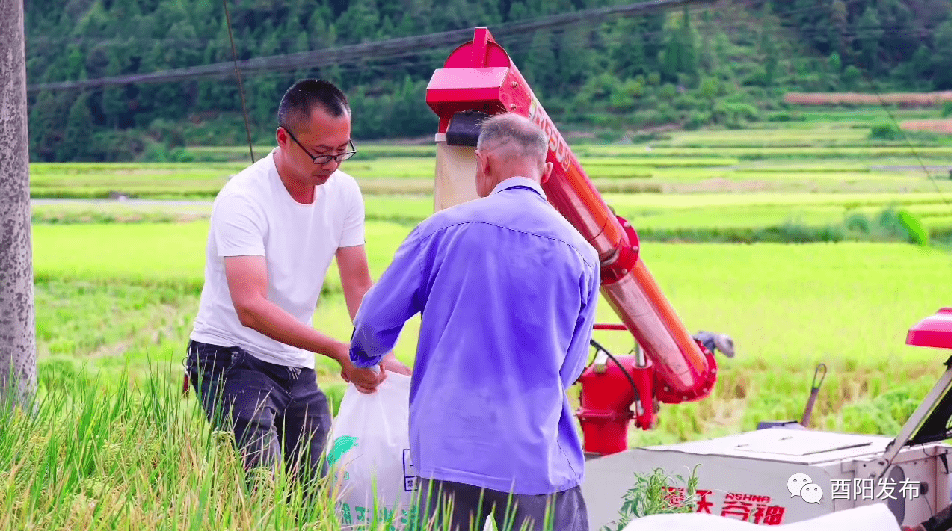 酉州科普|農技服務惠及李溪鎮千家萬戶……_吳勇軍_酉陽縣_村民