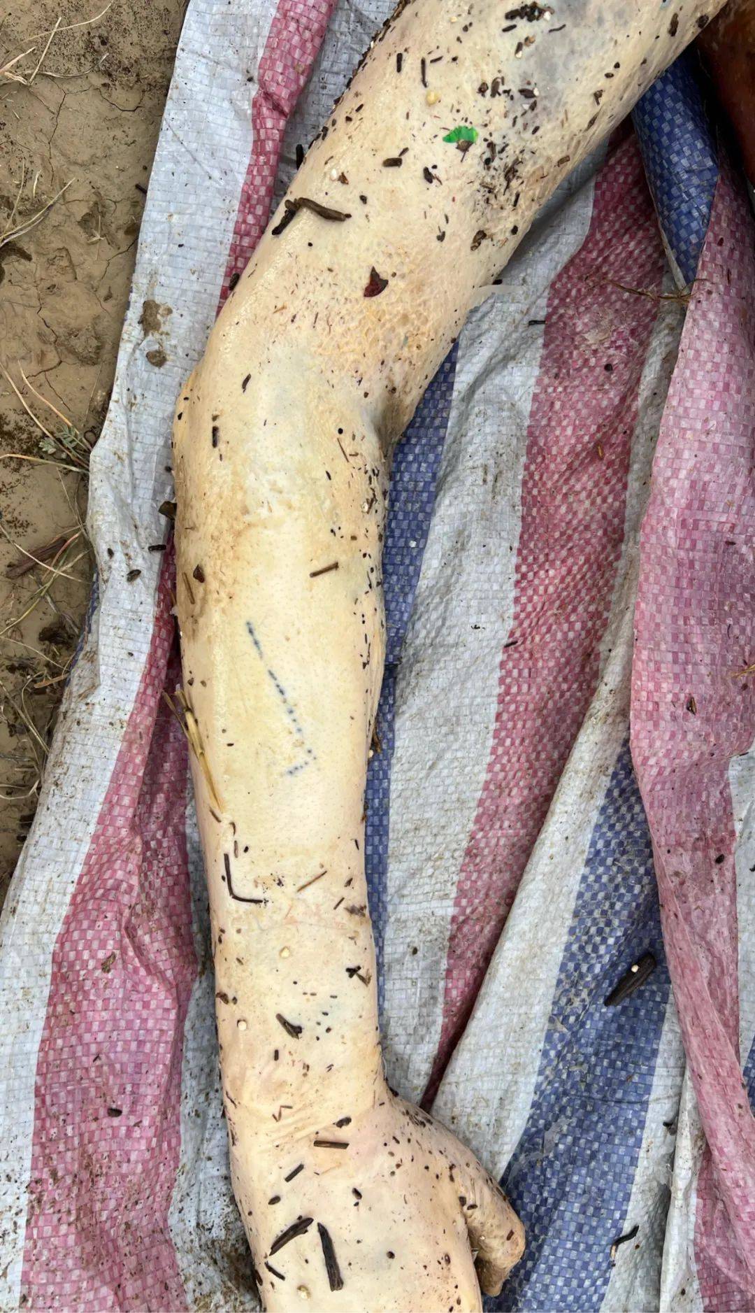 青海这里发现一具男尸._贵南县_公安局_男性