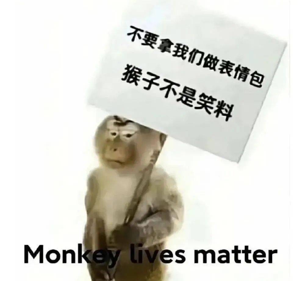 "斯密吗喽":「动物文学」如何成为年轻人的新型精神寄托?