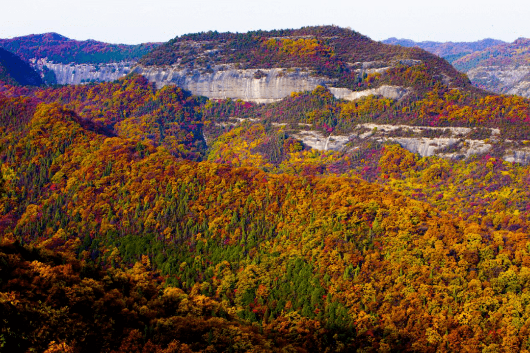 铜川香山红叶图片