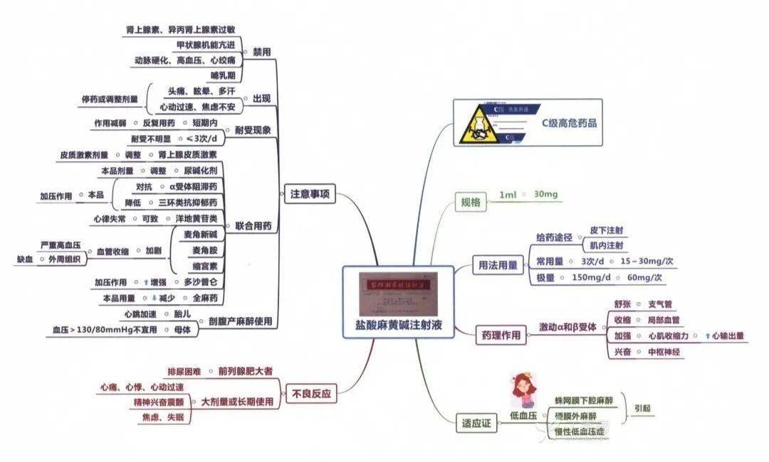 院前急救思维导图图片