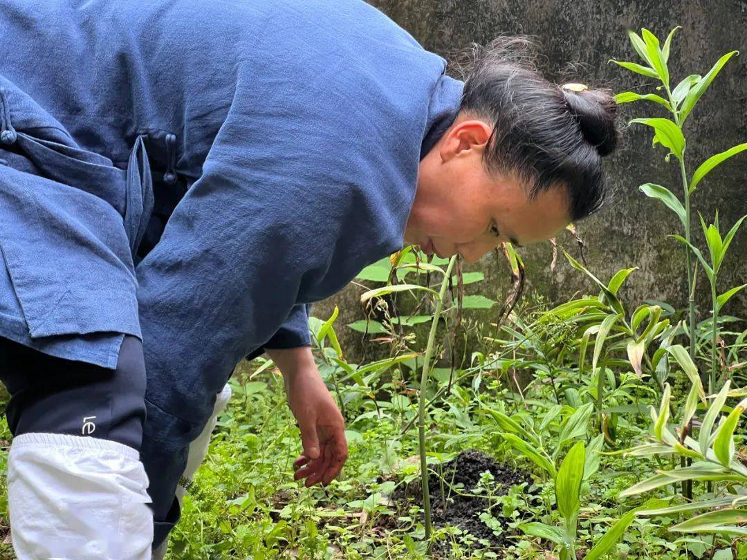 羽衣常带烟霞色:世上颜色千千万,道家为何偏爱青色和紫色?