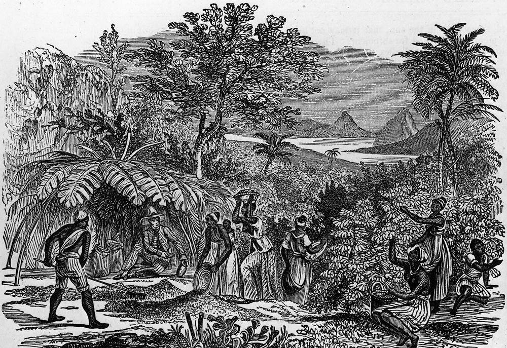 巴西近代"小传"——巴西的故事很常见,但又很独特_历史_权利_社会