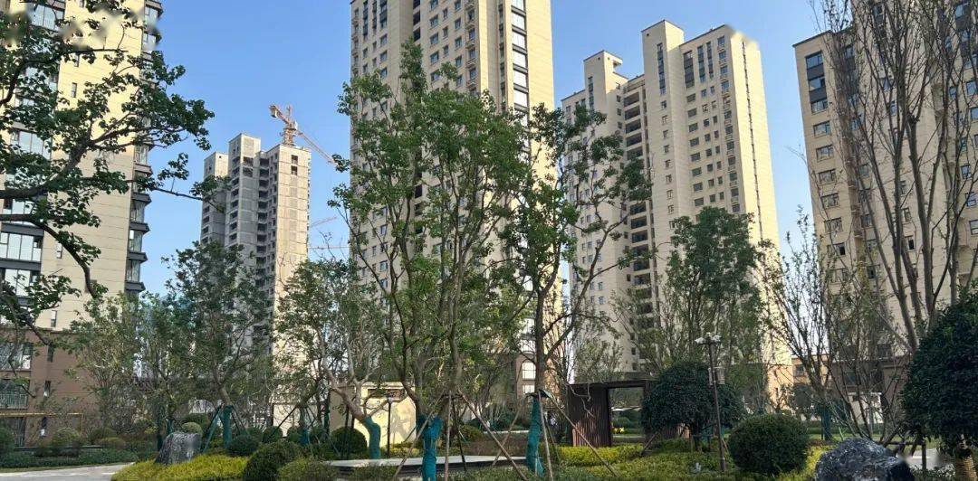 兰陵这一楼盘今天交房,快点看看是你家吧!_东方_华府_业主