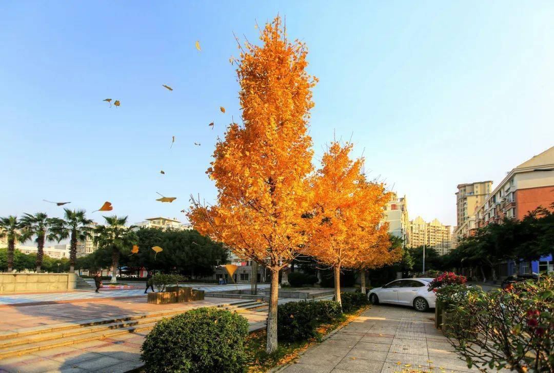 图片|吕俊仁,林军伟,庄城成,一波,吴龙才,陈裕法,马镜波,王翀,潘慧