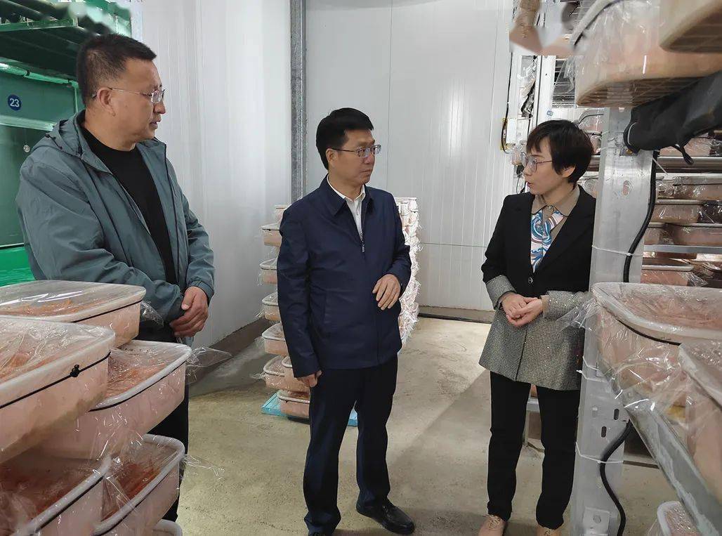 曾伟率队到河北考察招商_道真_发展_金耳