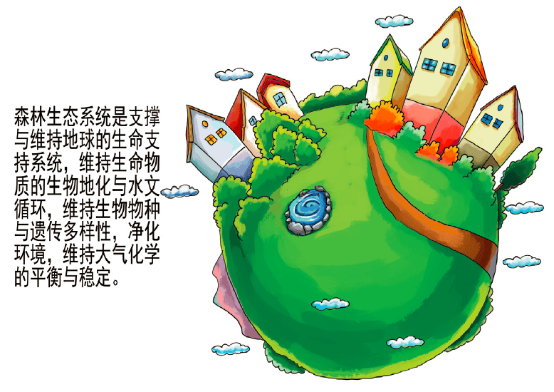 【环保科普】森林生态系统是如何涵养水源的?