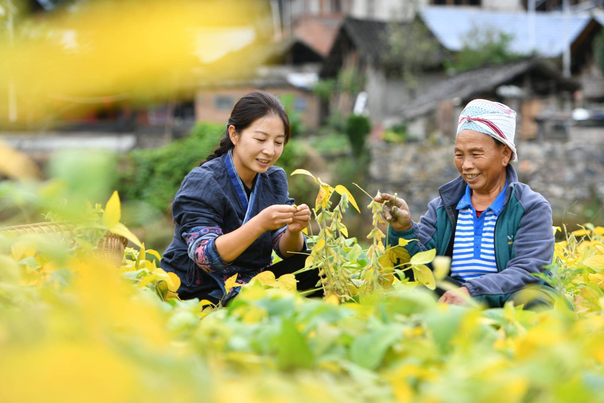 贵州黄平:"新农人"助力乡村振兴_赵小飞_梁文_直播间