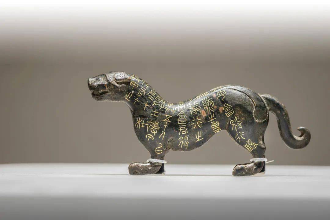 国宝· 发现动物 | 虎声咆哮间 千军万马来相见——战国杜虎符_老虎