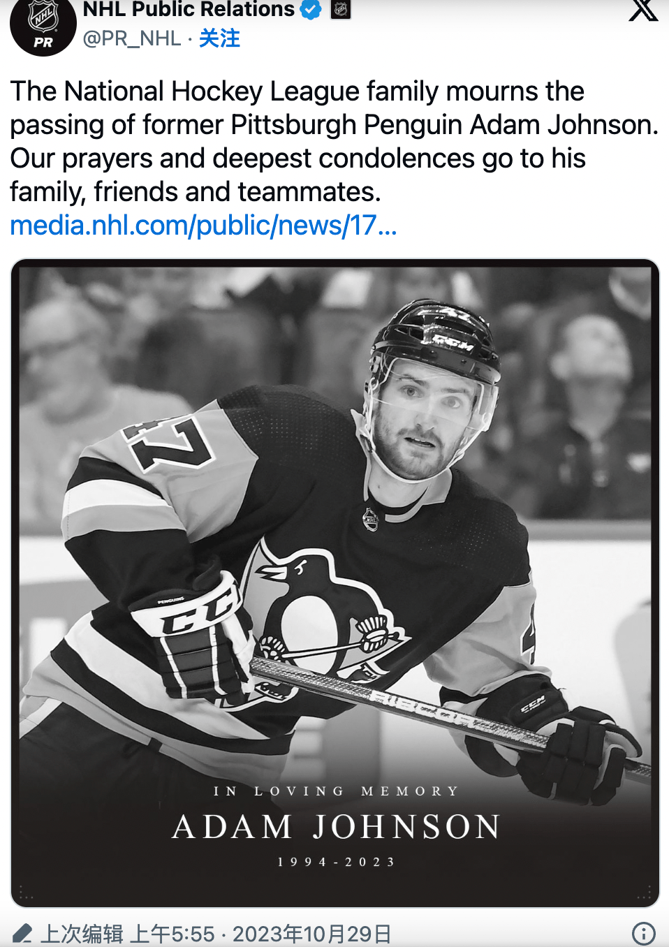 前加拿大冰球运动员遭冰刀割喉去世_比赛_亚当·约翰逊_赛季