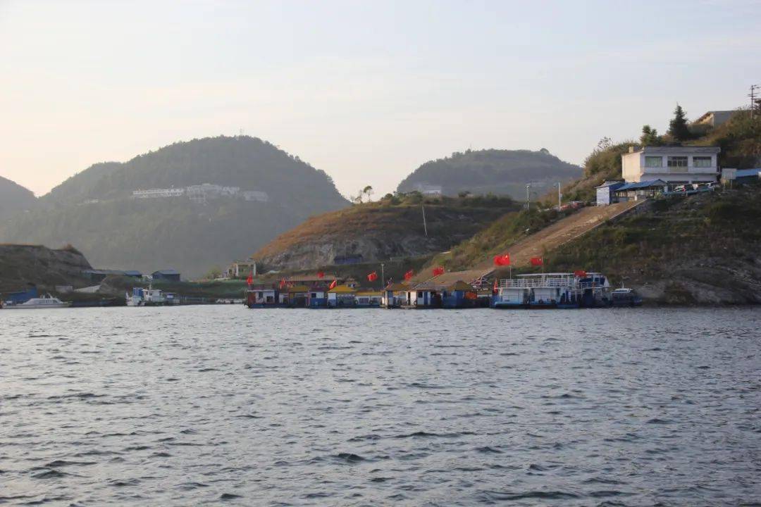 大方县黄泥塘镇:红嘴鸥"邀"你打卡支嘎阿鲁湖_海鸥_游客_时间