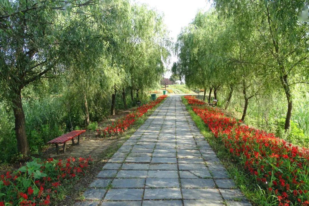 登天下第一台,赴一场千年之约_龙湾_章华台_遗址