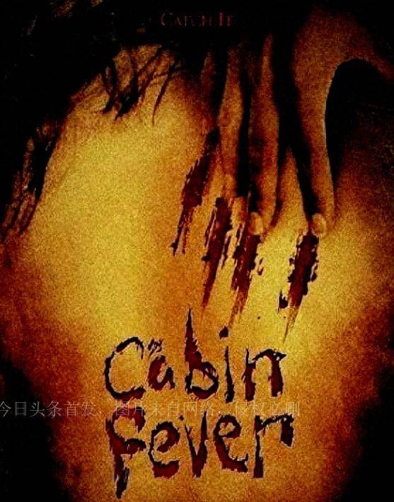 《撕裂人》2006,r级2006年的电影《撕裂人》讲述了一个宁静小镇的故事