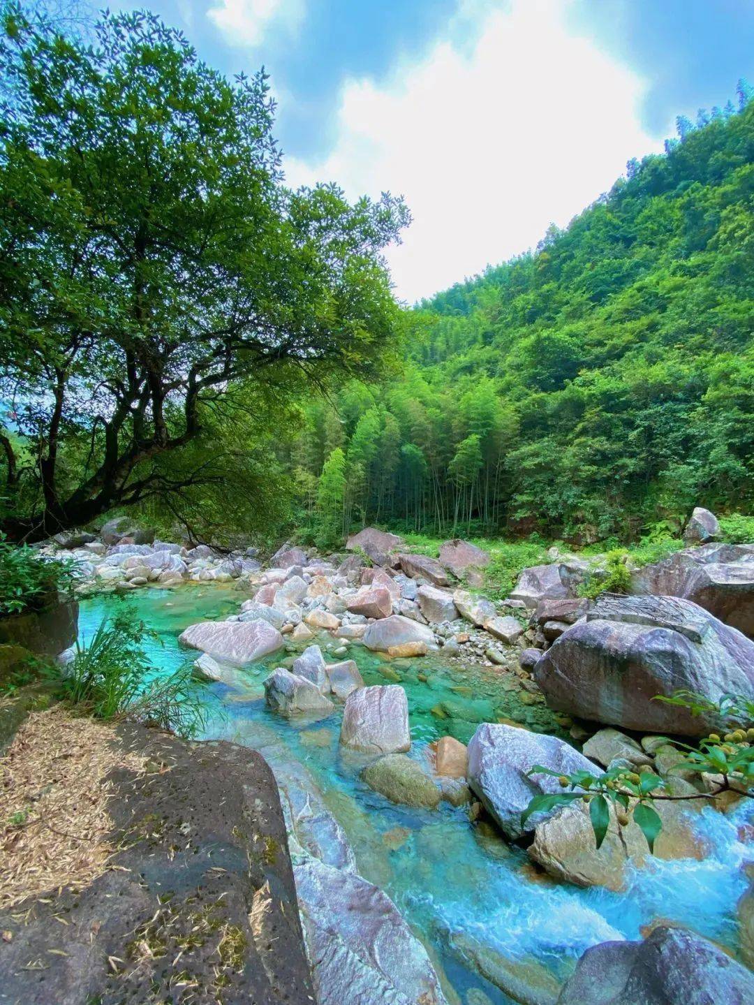 和这场赛事一起67跑进猫儿山!看「云海日出」!_半程_景区_漓江