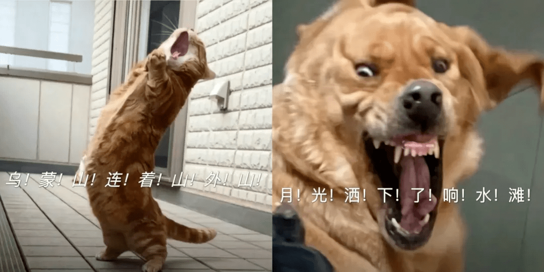 乌蒙山连着山外山!下一句:_____ 为啥有的歌词能脱口而出?