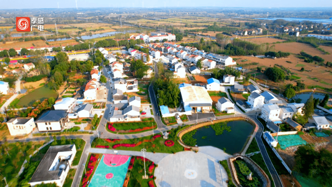 "应达万家" 助力应城名特优农产品走向全国!_建设_交通_乡村