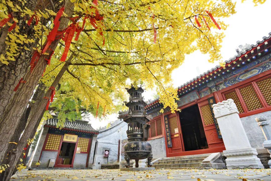昌平和平寺暂停对外开放,还有这些景区已关闭——_北京_防火_游客