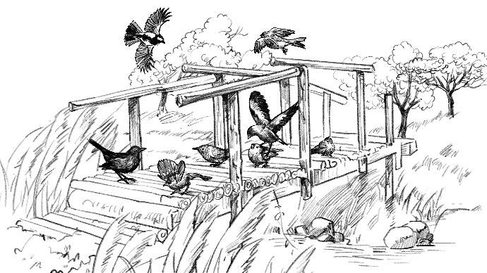 降落在大门口那棵小树上,夜莺却习惯于在夜幕降临时去造访那棵小树