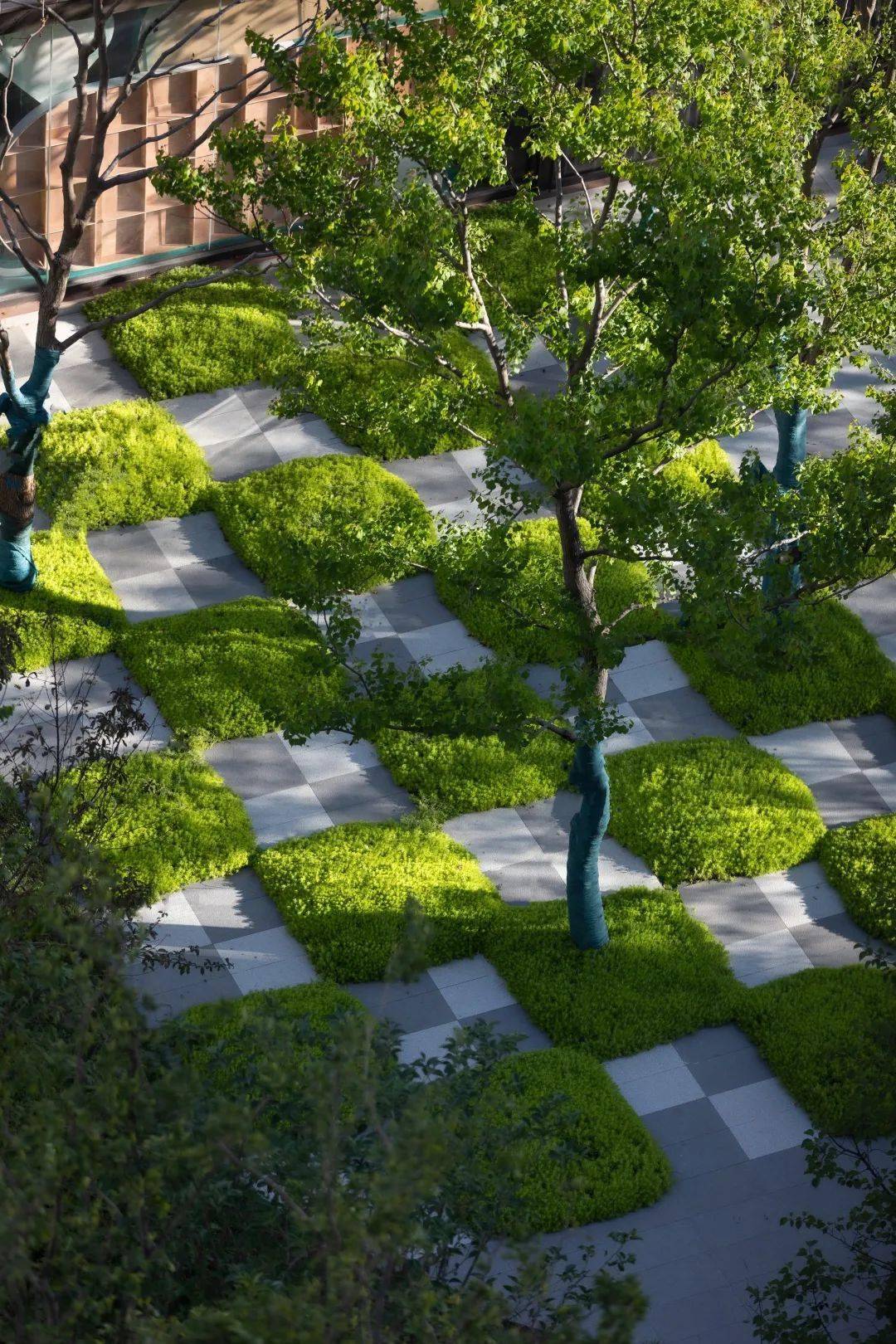 社区中心花园不止大草坪!还有这些处理手法_空间_摄影_景观